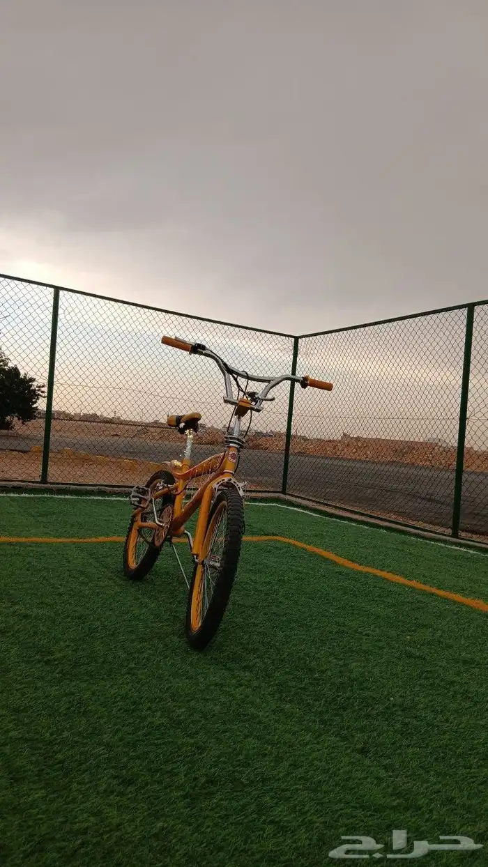 سيكل كوبرا مقاس 20 7