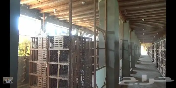 بيوت خشبيه ومحاكر الطيور و مظلات 1