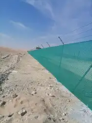 لتوريد النخل العربي والواشنطني والسياجات بجميع انواعها 0