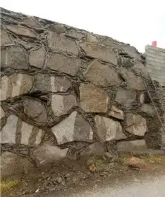 العرضيه الشماليه شمران المخواه 2