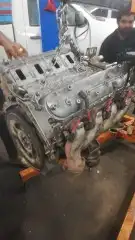 مكاين أمريكي كابرس وجمس ضمان سبع أشهر 5