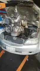 مكاين أمريكي كابرس وجمس ضمان سبع أشهر 0