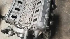 مكاين أمريكي كابرس وجمس ضمان سبع أشهر 6
