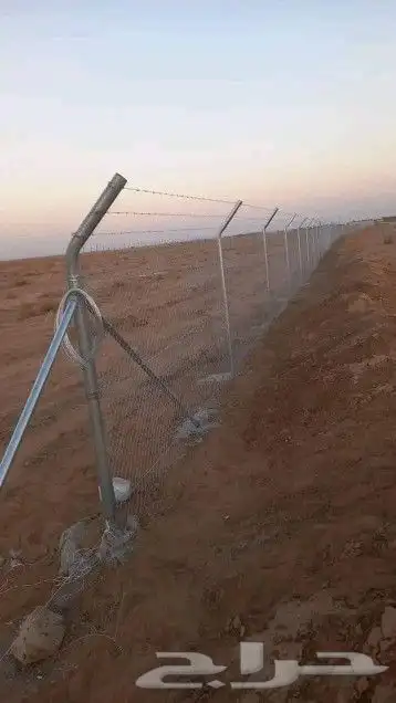 تركيب شبك وزراعة نخيل 2