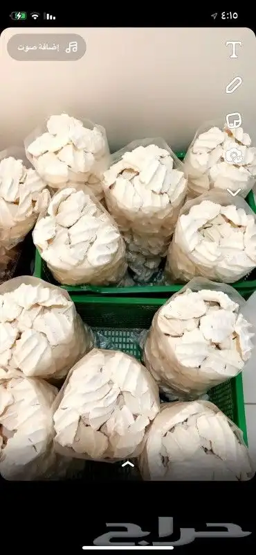 بقل ومعمول محشي تمر شغل الوالده نظيف وحلو طعمه نوفر للمحلات 1