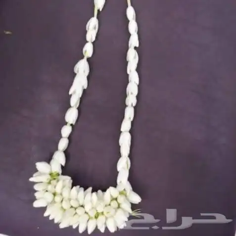 محل فل الفيصليه الرياض لجميع تشكيلاات الفل وتصميم حسب الطلب 31