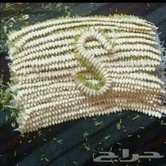 محل فل الفيصليه الرياض لجميع تشكيلاات الفل وتصميم حسب الطلب 29