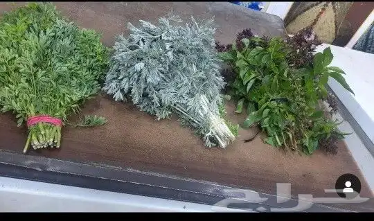 محل فل الفيصليه الرياض لجميع تشكيلاات الفل وتصميم حسب الطلب 24