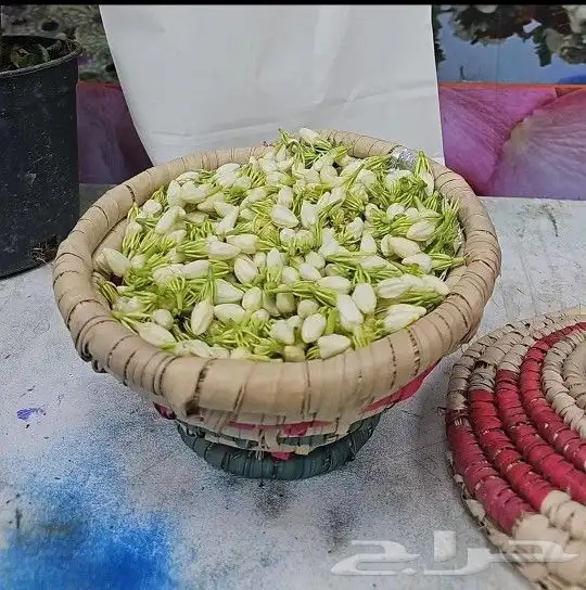 محل فل الفيصليه الرياض لجميع تشكيلاات الفل وتصميم حسب الطلب 25