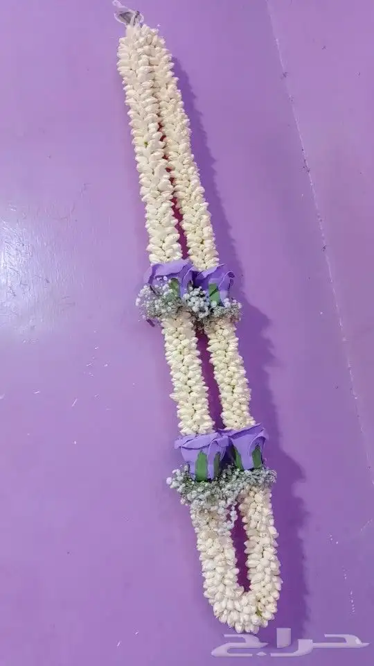 فل الرياض 0207161893 1