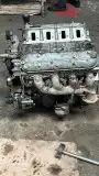مكاين أمريكي كابرس وجمس ضمان سبع أشهر 4