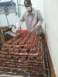 معمل تمور متكامل 5
