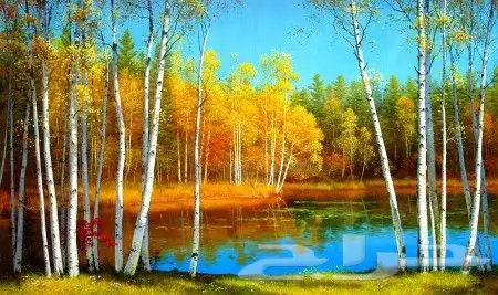 رسام مدارس وروضات ومغاسل سيارات 2