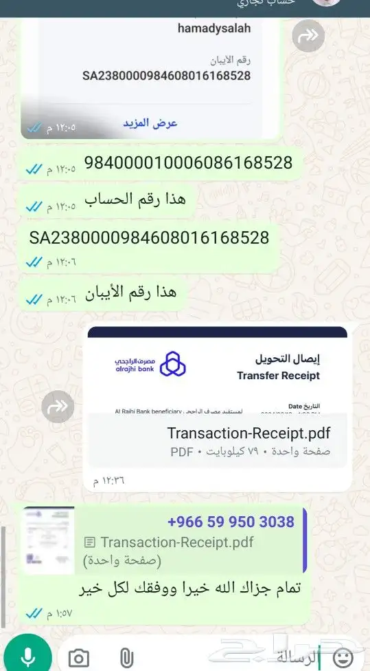مدقق لغوي 4