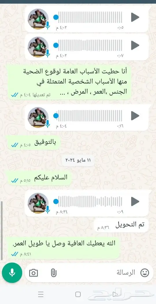 مدقق لغوي 8