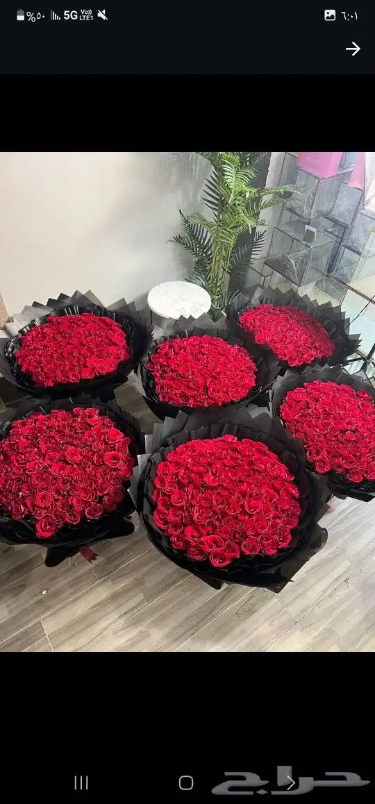 مندوب ومنسق ورد الرياض هدفنا رضاكم متسوق شخصي 8