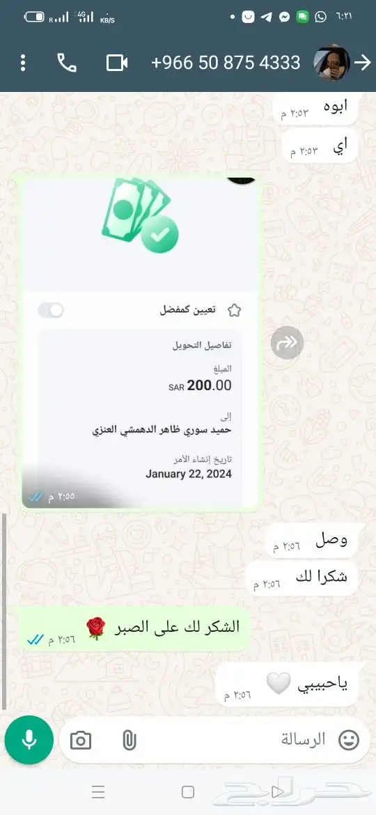 مدقق لغوي 3