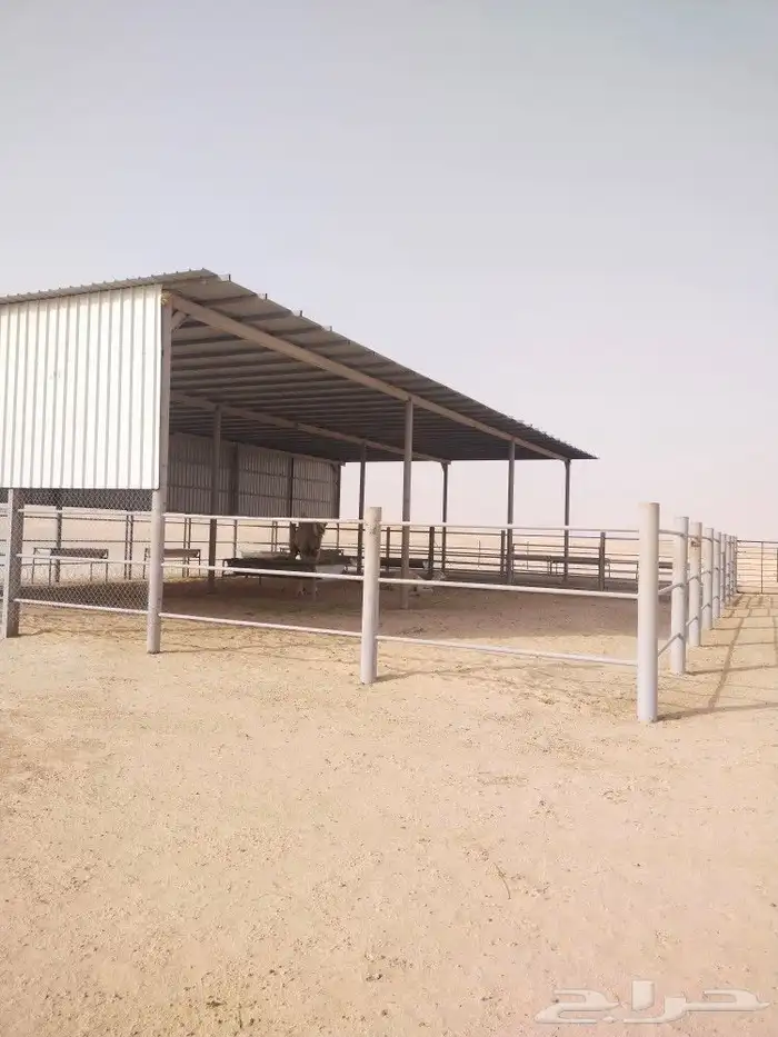 تركيب شبوك 8