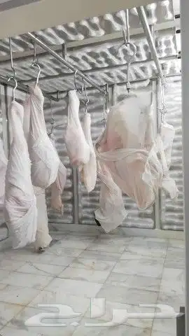 طاولات كبائن مطابخ مغاسل مجالي رفوف استيل 20