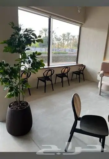 مايكرو سمنت 1