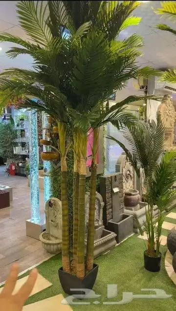 أشجار النخيل الصناعي 2