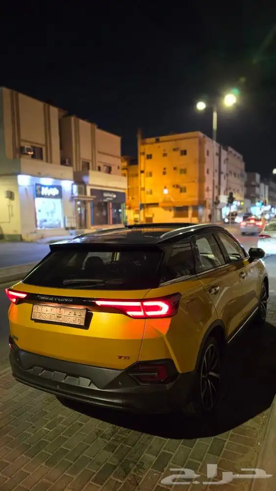 سيارة فاو مالك أول فاو تي 77 FAW T77 21