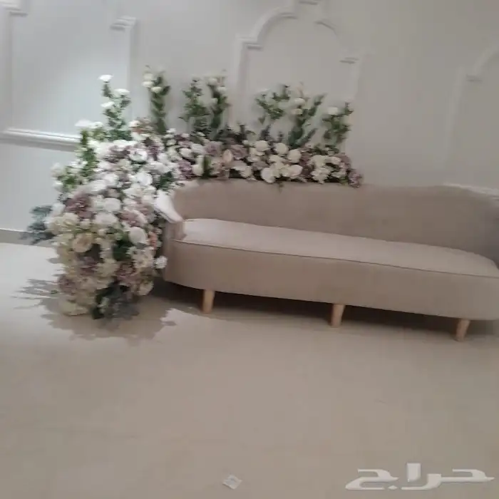 تاجير كوش ملكه كوشات فاخره 0