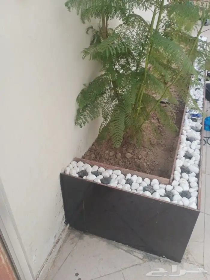 احواض صناعى وشلالات 2