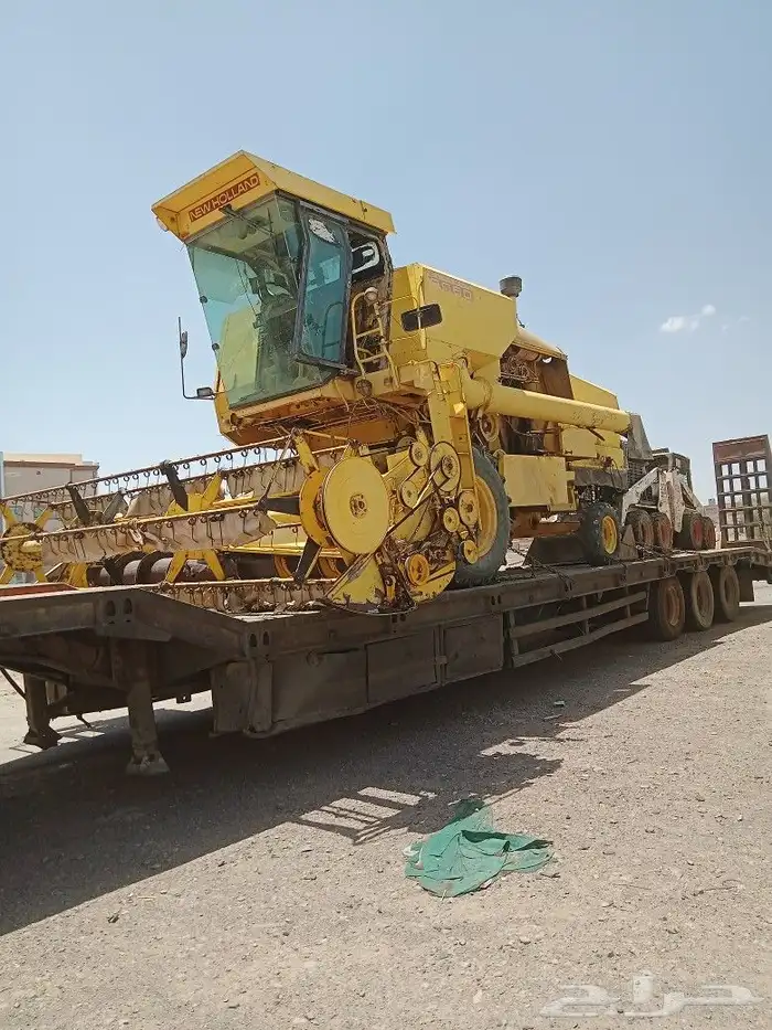 لوبد في المدينة النمور عل القصيم او ارياض ثلاثة محور 0532105 0