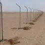 موسسه سياج للشبوك 4