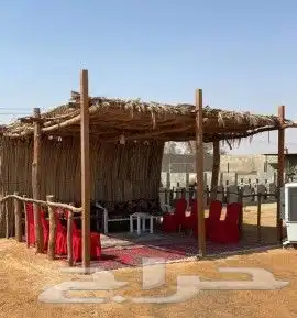 مباني تراث ظين وحجر وسقواف وتليوست وترميمت 7