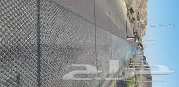 شبوك 5