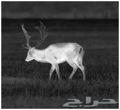 درابيل حراريه ليليه تركب ع السلاح ويدوي يوضح 4 كيلو في الليل 20