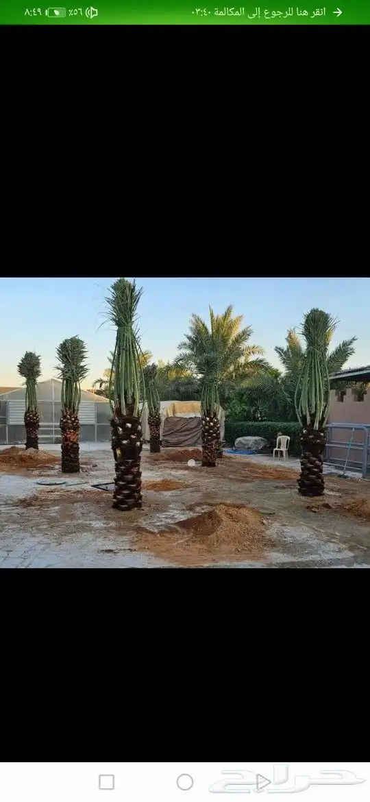 مقاول شبوك وسياج حديدي وتوريد نخيل وبنا تراثي 9