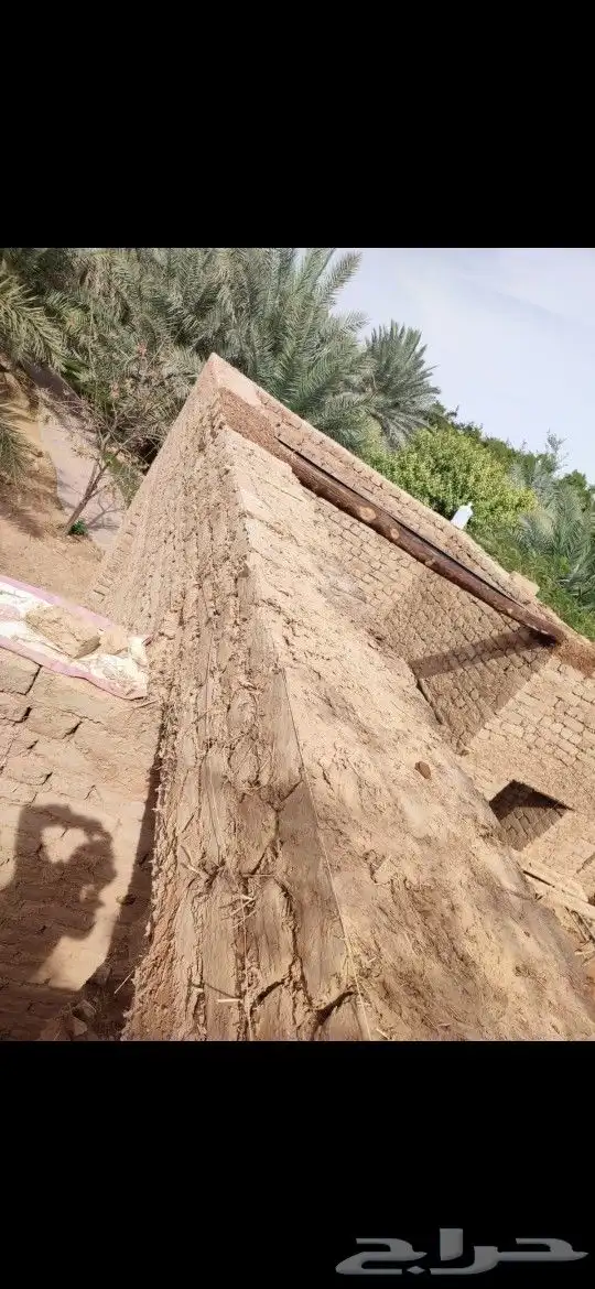 مقاول شبوك وسياج حديدي وتوريد نخيل وبنا تراثي 7