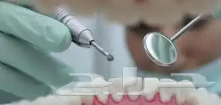 دكتورة طب أسنان لتدريس مواد أسنان 0