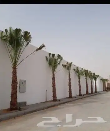 زراعة وتنسيق الحدائق 0