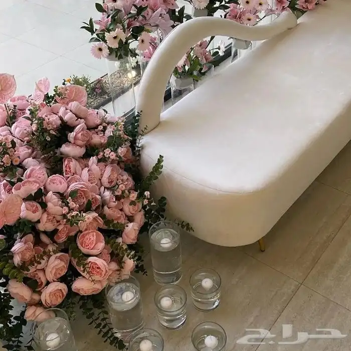 كوشات_الجوف  صوير_هديب_الرفيعه_اللقايط_زلوم_اللقائط_هدبان 2