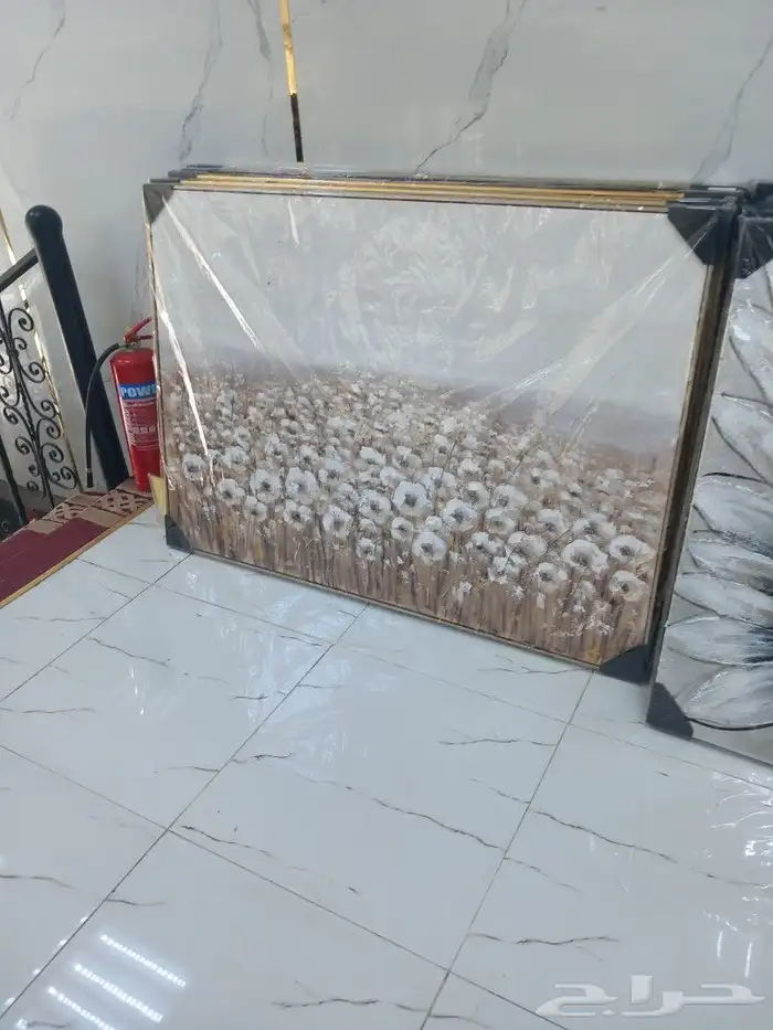 لوحات جداريه بأشكال مختلفه 1