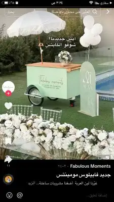 مشروع بزنس ممتاز بطاطس بليلة عربة 1