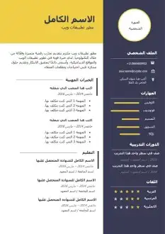 سيرة ذاتية بدقة عالية 0
