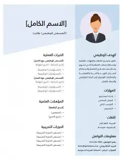 سيرة ذاتية بدقة عالية 2