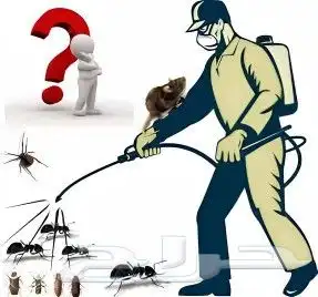 شركة مكافحة حشرات بجازان _جميع مناطق جازان _خصم يصل الي 50 1