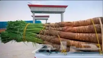 واشنطن زينه 3