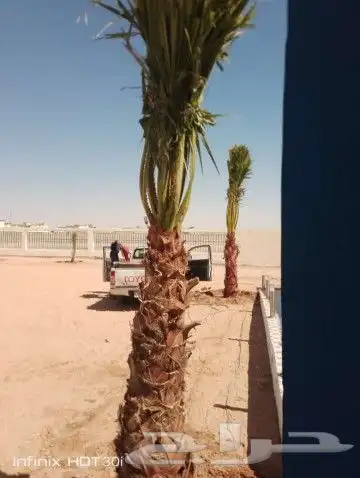 واشنطن زينه 7