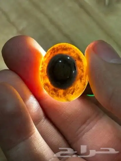 فصوص بقراني 2