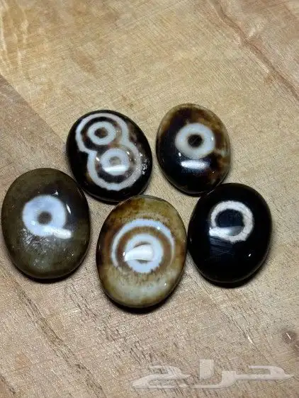 فصوص بقراني 3