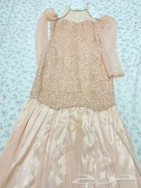 فساتين سهره لم تلبس الا مره وحده ( تحطيم الاسعار) 2