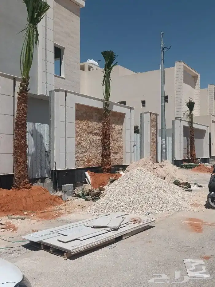 توريد وزرع نخل عربي ولزينه الواشنطني 2
