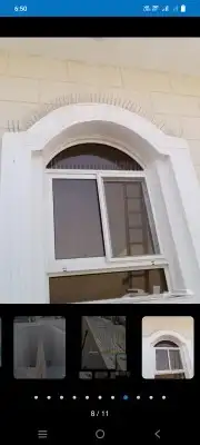 طارد الحمام 6